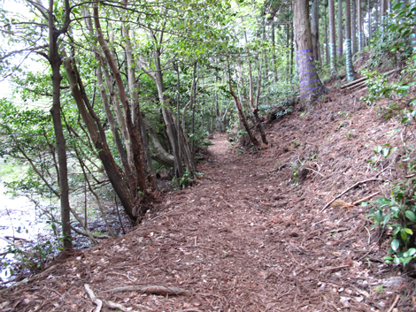 20140502hike (55)